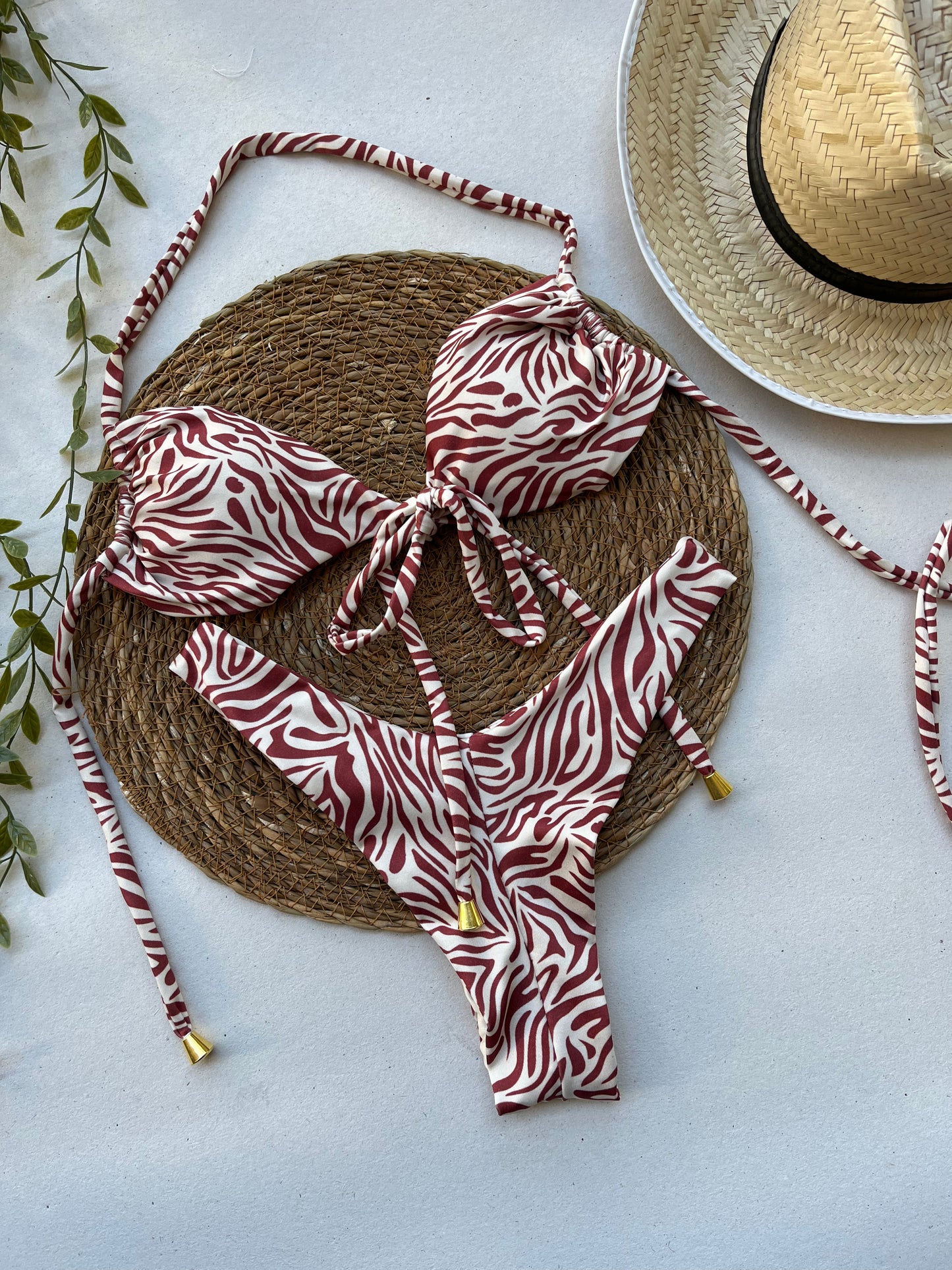 Sahara Stripe Zebra Print Bikini Set