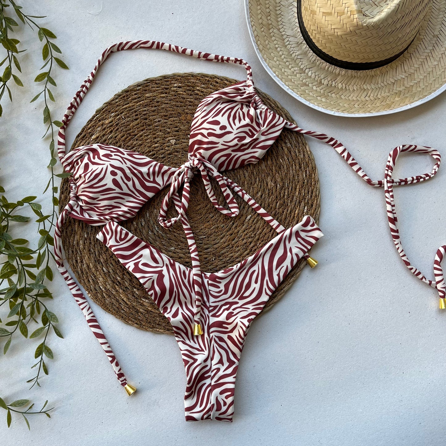 Sahara Stripe Zebra Print Bikini Set