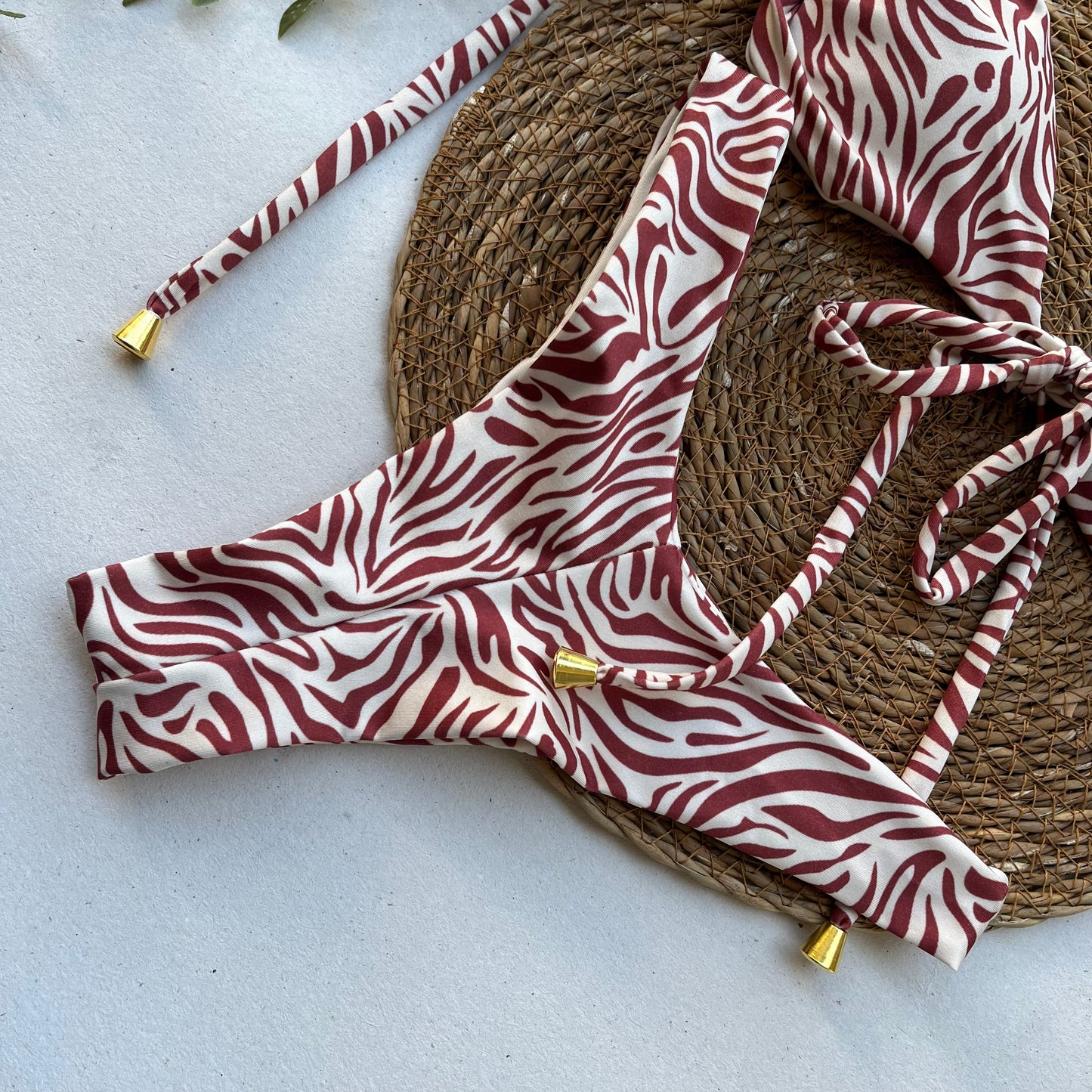 Sahara Stripe Zebra Print Bikini Set