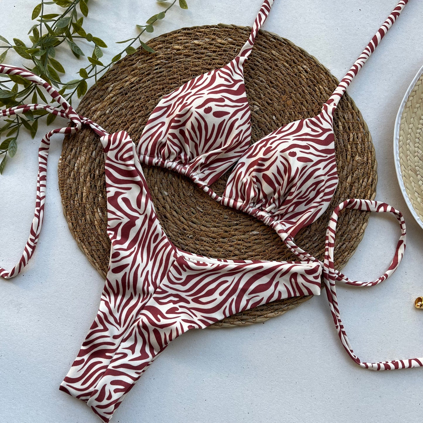 Sahara Stripe Zebra Print Bikini Set