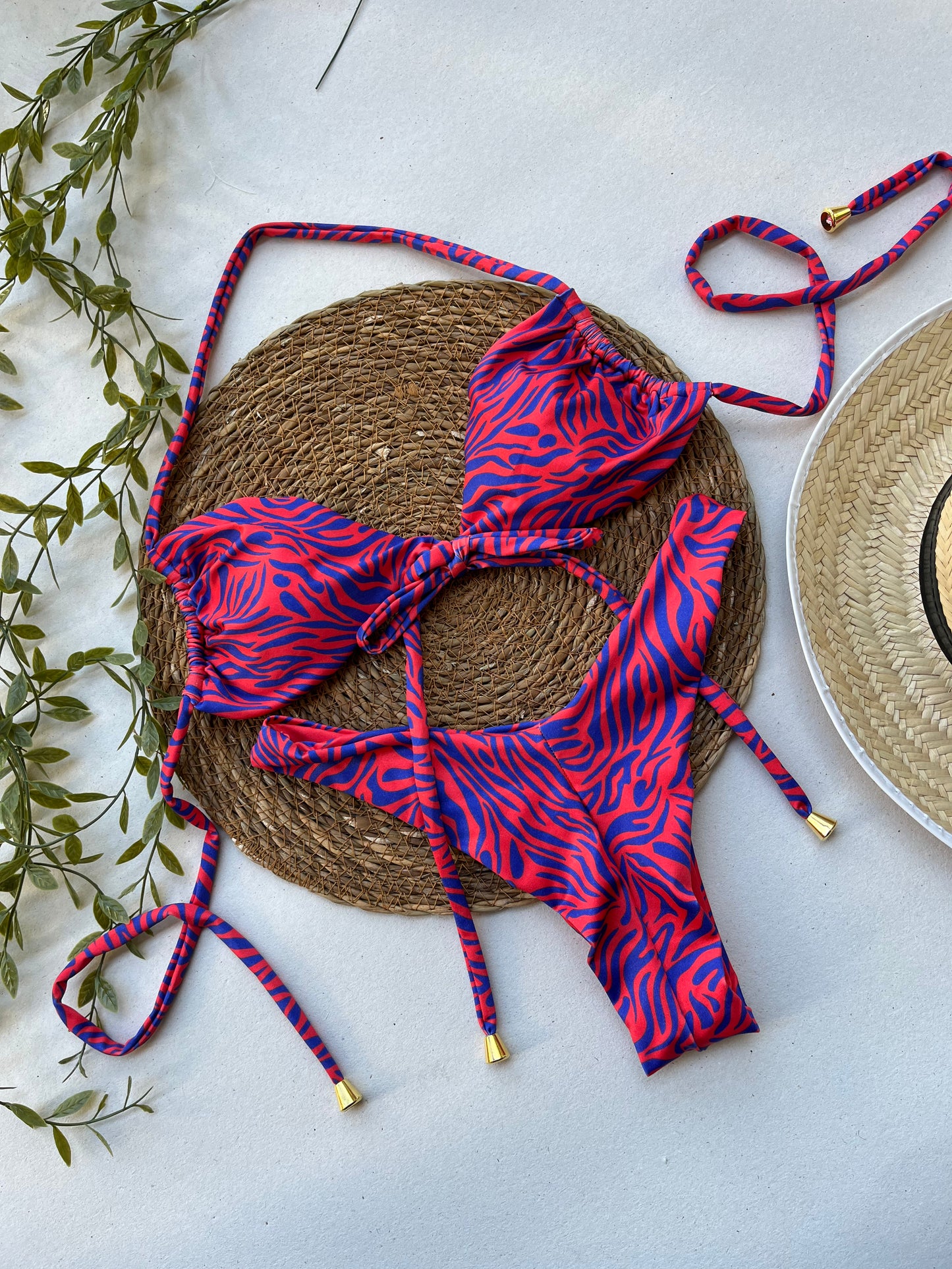 Crimson Current Zebra Print Bikini Set