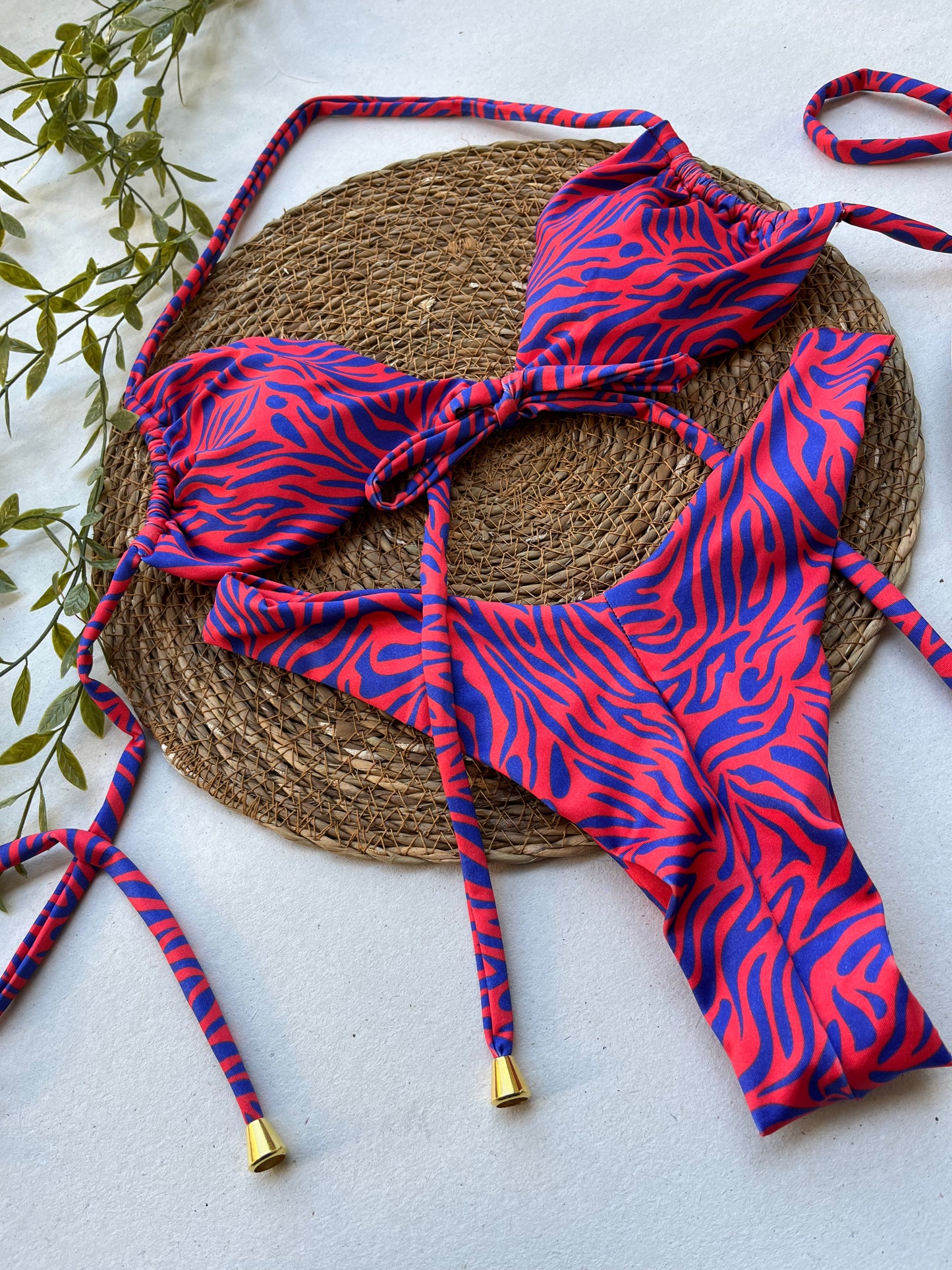 Crimson Current Zebra Print Bikini Set