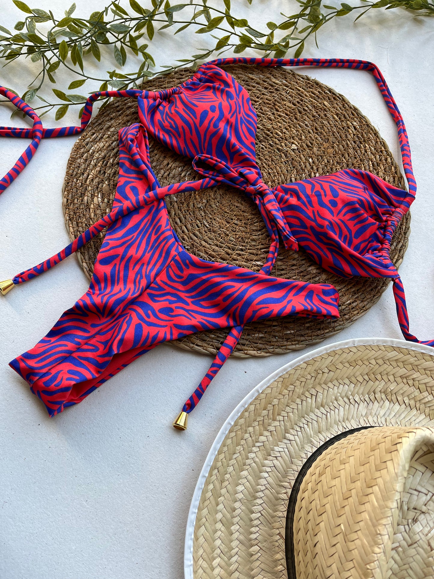 Crimson Current Zebra Print Bikini Set