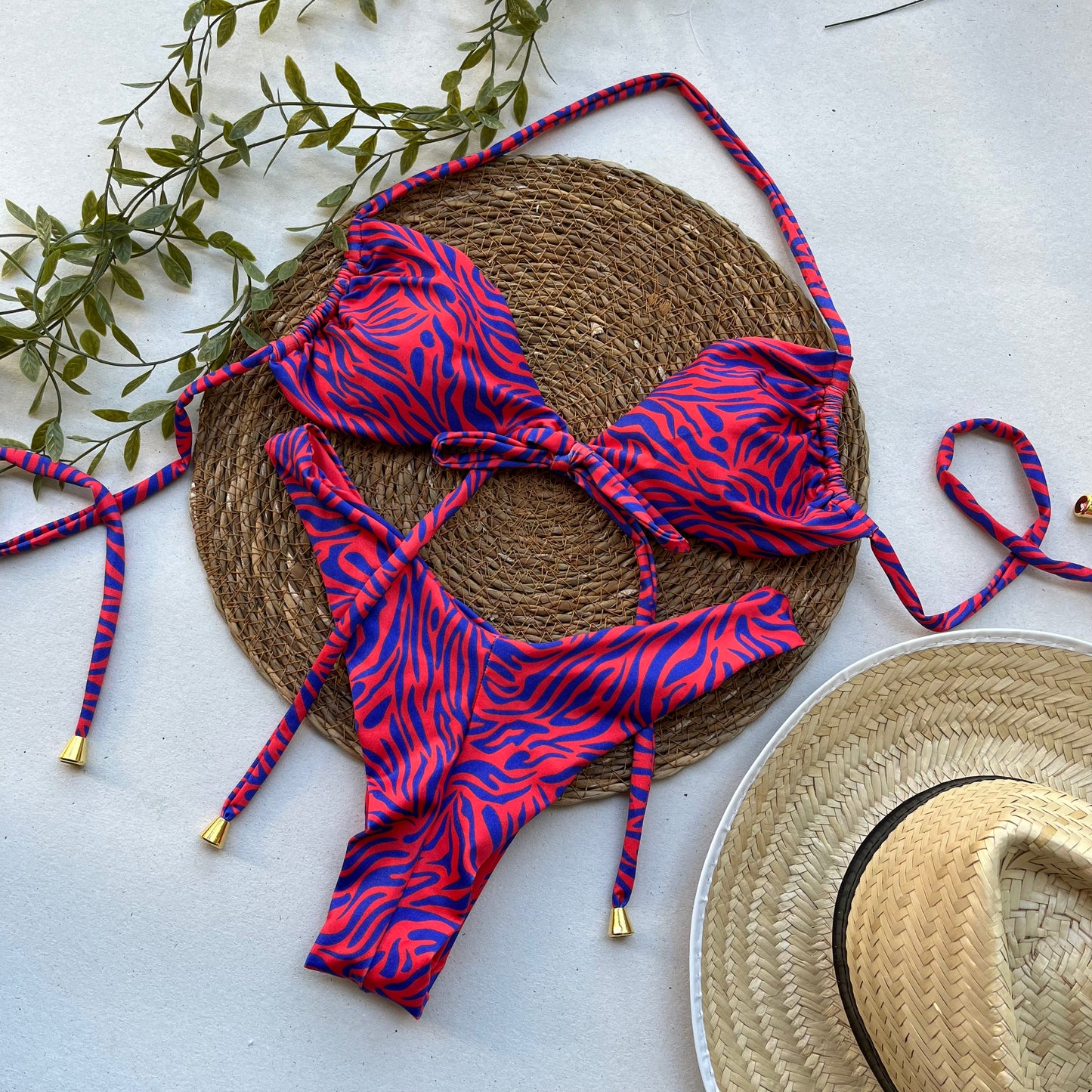 Crimson Current Zebra Print Bikini Set