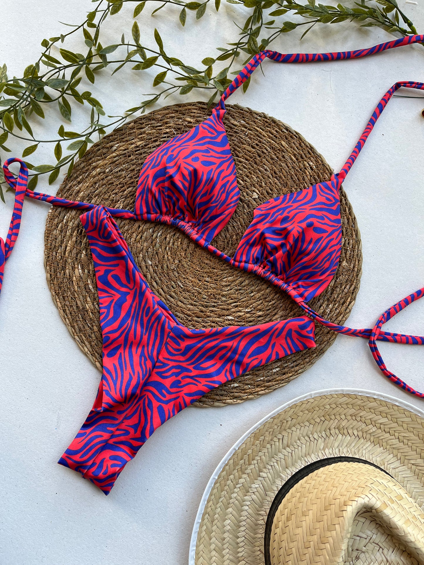 Crimson Current Zebra Print Bikini Set
